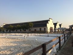 -松声马术俱乐部