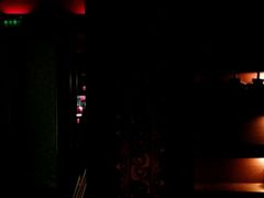 -花马天堂云南餐厅 Lost Heaven(外滩店)