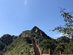 -大岭沟猕猴桃谷风景区