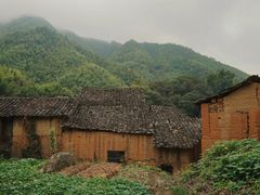 -杨家堂村