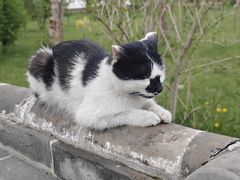 -塔尔寺