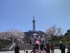 -富斯特索道