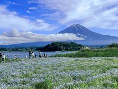 -河口湖车站