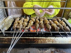 -老吴家烧烤(朝阳街店)