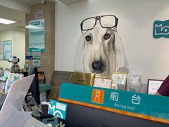 -美联众合动物医院·24h转诊中心