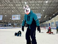 -绍兴启迪乔波冰雪世界