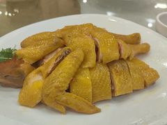 -口衣记鸡饭店