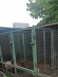 点击看大图 -萌宠亲子动物乐园(槐房万达店)