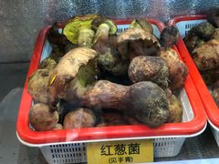 -菌海森林·非遗野生菌火锅(西山区滇池路摩根道店)