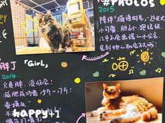 -小时光咖啡馆(开森度假森林店)