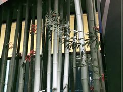 -将太无二·蓝鳍放题·北美寿司(领展购物广场中关村店)