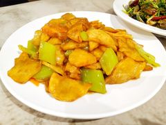 -小海丁