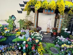 -杭州植物园
