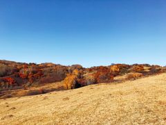 -塞罕坝国家级自然保护区