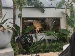 -自由生长植物工作室(深港花卉中心店)
