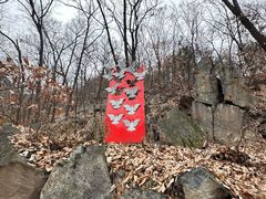 -阳台山自然风景区