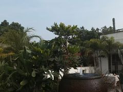 -悦哉·派对·草坪婚礼·围炉煮茶(三圣乡店)