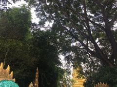 -西双版纳勐泐文化旅游区