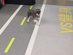 -VS私人健身工作室