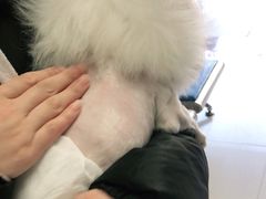 -申普宠物医院·眼科·心内科·影像科(普陀分院)