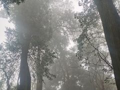 -金堂县云顶石城风景区