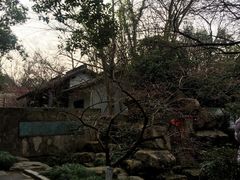 -杭州植物园