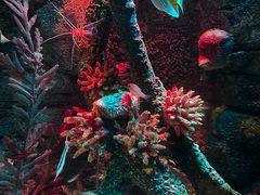 -沈阳海洋探索中心