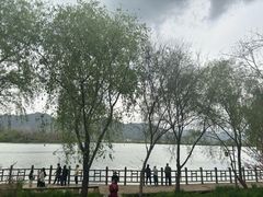 -东梓关景区村庄