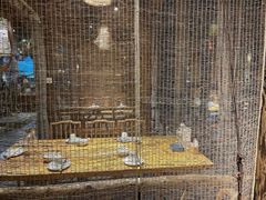 -花溪雨·森林餐厅(石基店)