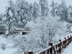 -瓦屋山景区