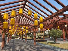 -南越王博物院(王宫展区)
