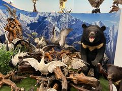 -郑州自然博物馆(惠济区)