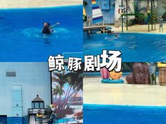 -海合安天津极地海洋公园