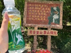 -金龙寺国家森林公园