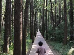 -同里国家湿地公园