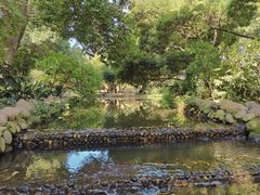 -成都市活水公园