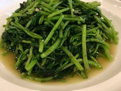 -中国饭店-餐厅