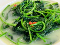 -千灯盛汇·头牌粤菜(致越优城店)