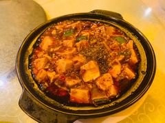 -陈麻婆豆腐总店