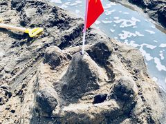 -碧海金沙