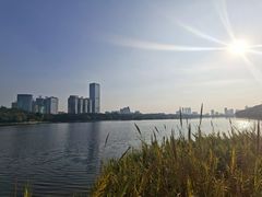 -南宁南湖公园