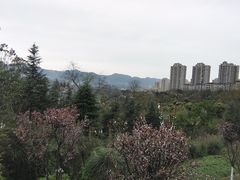 -金海湾滨江公园