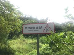 -田心森林公园