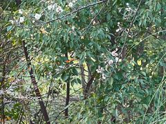 -昆山城市生态森林公园