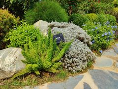 -东莞植物园