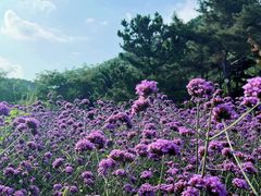 -云峰山自然风景区