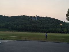 -羊山湖公园