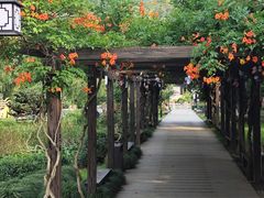-白马涧龙池景区