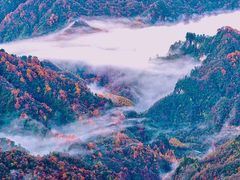 -光雾山旅游景区