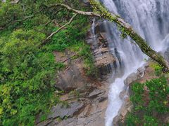 -海南热带雨林国家公园吊罗山景区